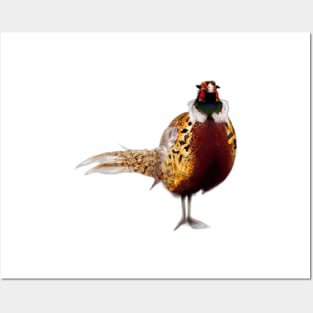 Cute Pheasant Drawing Posters and Art